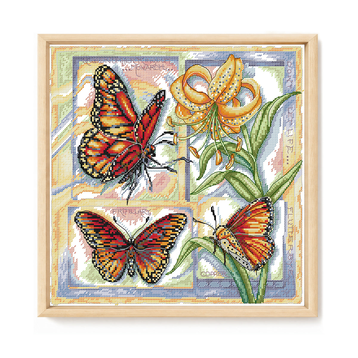 Biologie-Diagramm - Schmetterling - Partieller 14CT gestempelter Kreuzstich 36x36CM - Joy Sunday Rückstich + Halbkreuzstich