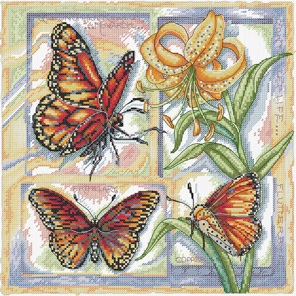Biologie-Diagramm - Schmetterling - Partieller 14CT gestempelter Kreuzstich 36x36CM - Joy Sunday Rückstich + Halbkreuzstich