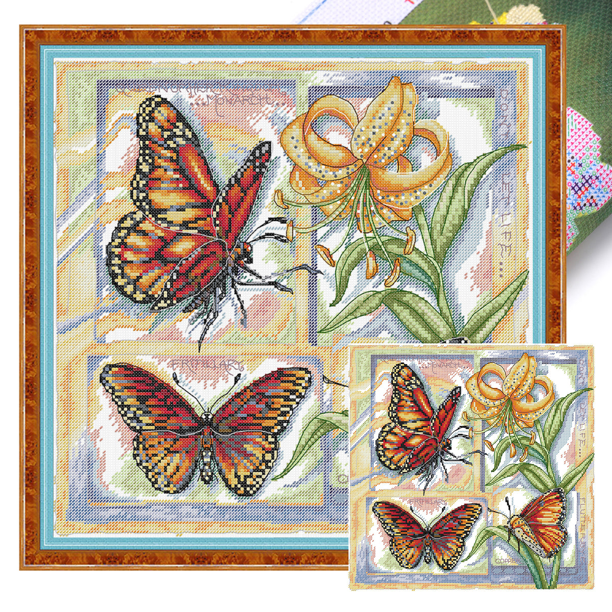 Biologie-Diagramm - Schmetterling - Partieller 14CT gestempelter Kreuzstich 36x36CM - Joy Sunday Rückstich + Halbkreuzstich