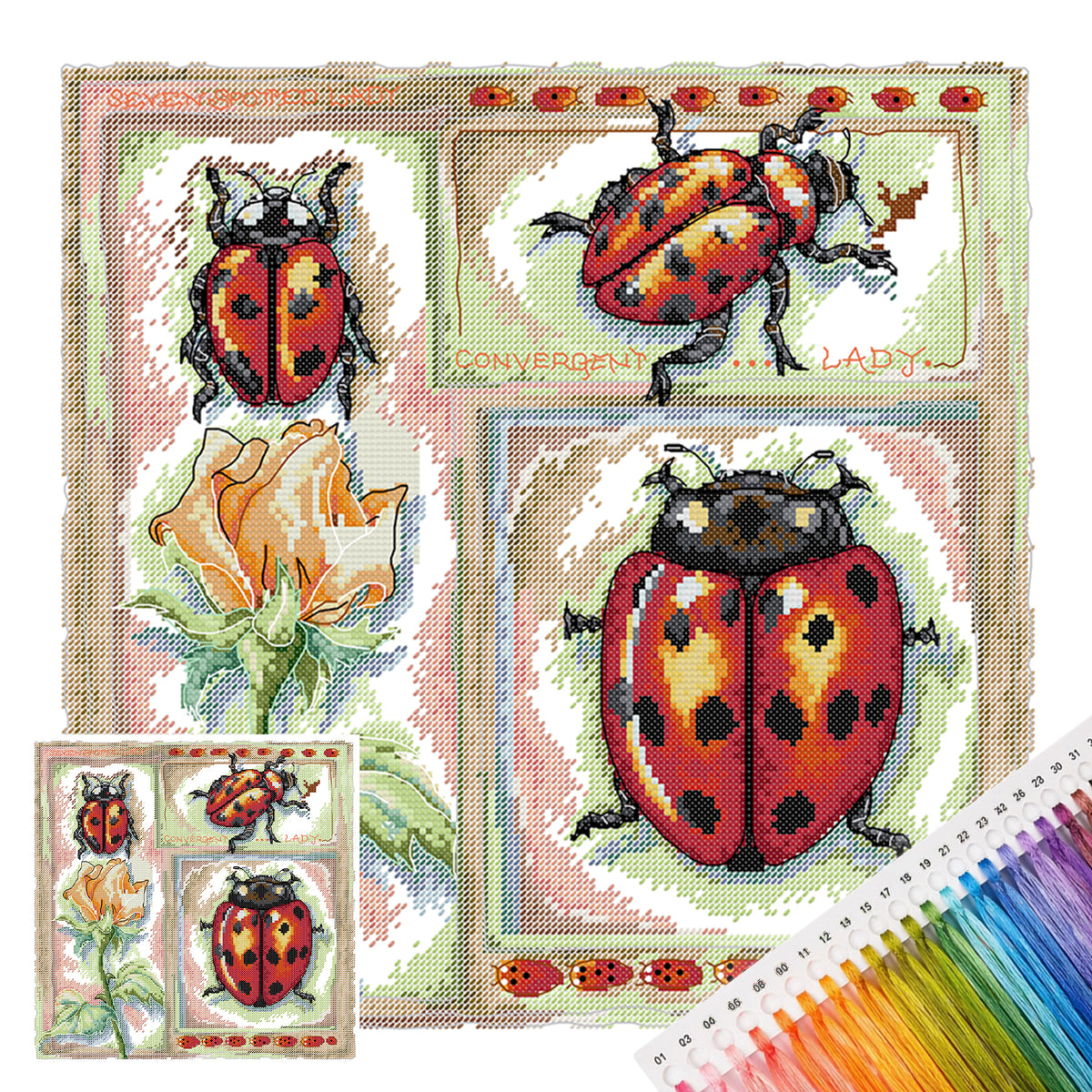 Biology Diagram - Ladybug - Partial 14CT Stamped Cross Stitch 36x36CM - Joy Sunday Backstitch+Half Cross Stitch