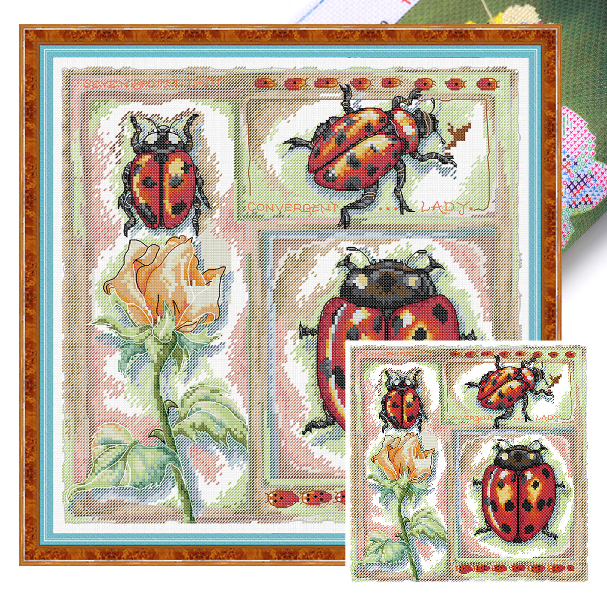Biology Diagram - Ladybug - Partial 14CT Stamped Cross Stitch 36x36CM - Joy Sunday Backstitch+Half Cross Stitch