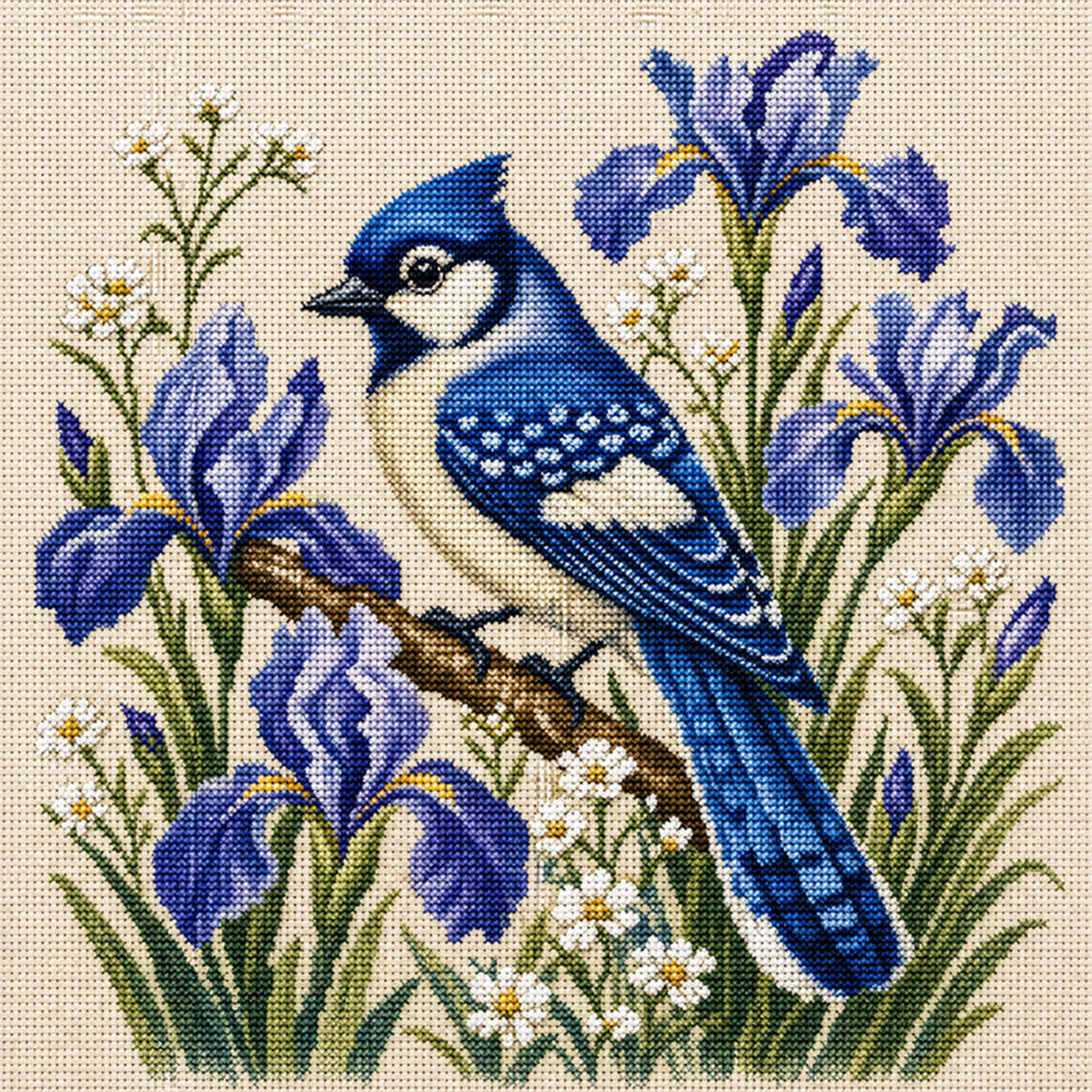 Iris Bluejay - Full 11CT Stamped Cross Stitch 40x40CM - Huacan