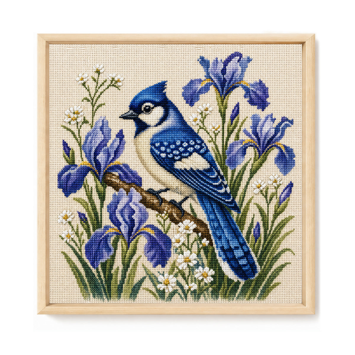 Iris Bluejay - Full 11CT Stamped Cross Stitch 40x40CM - Huacan