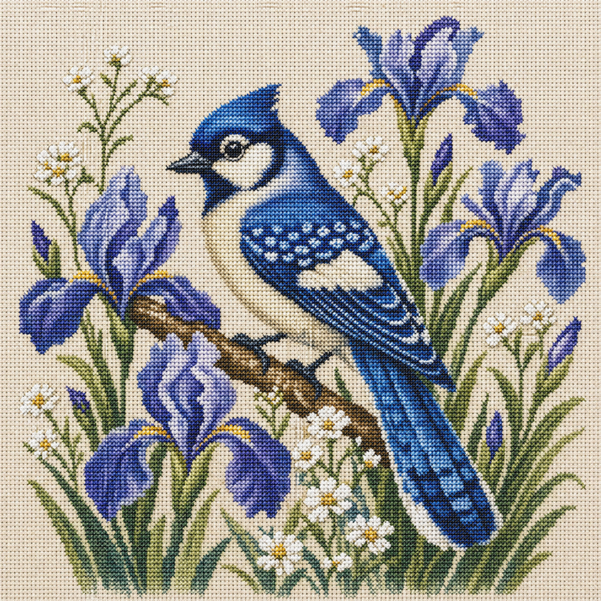 Iris Bluejay - Full 11CT Stamped Cross Stitch 40x40CM - Huacan