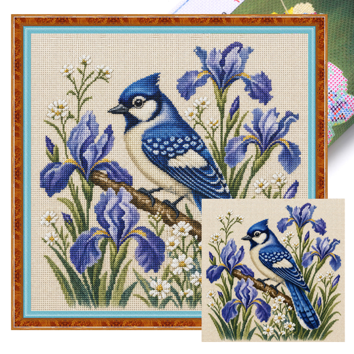 Iris Bluejay - Full 11CT Stamped Cross Stitch 40x40CM - Huacan