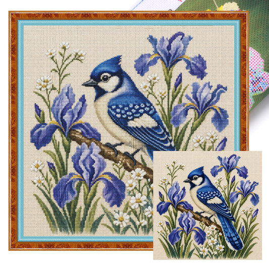 Iris Blauhäher – Vollständiges 11CT gestempeltes Kreuzstich-Set 40x40 cm – Huacan