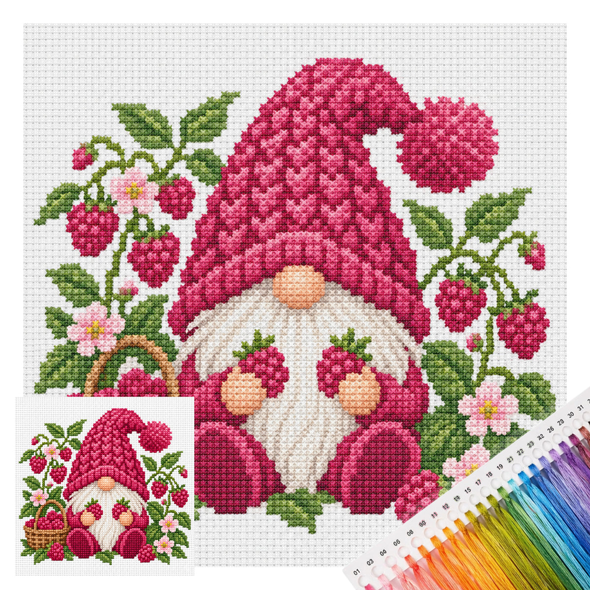 Raspberry Gnome - Full Stamped Cross Stitch 20x20CM - Huacan