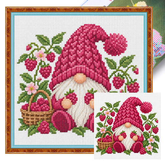 Himbeer-Wichtel – Vollständiges Stickset (aufgedruckt) 20x20 cm – Huacan