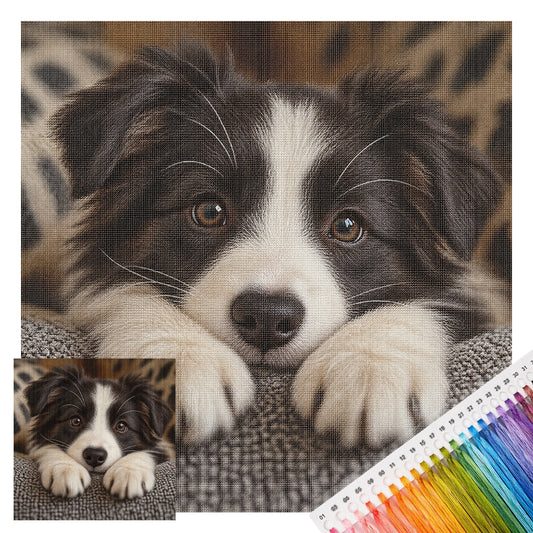 Collie-Welpe - Vollständiges 14CT gestempeltes Kreuzstich-Set 30x30CM - Huacan