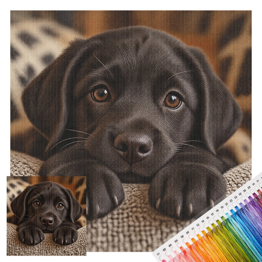 Labrador-Welpe – Vollständiges 14CT gestempeltes Kreuzstich-Set 30x30CM – Huacan