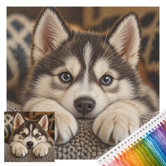 Husky-Welpe – Vollständiges 14CT-Stempel-Kreuzstichset 30x30CM – Huacan