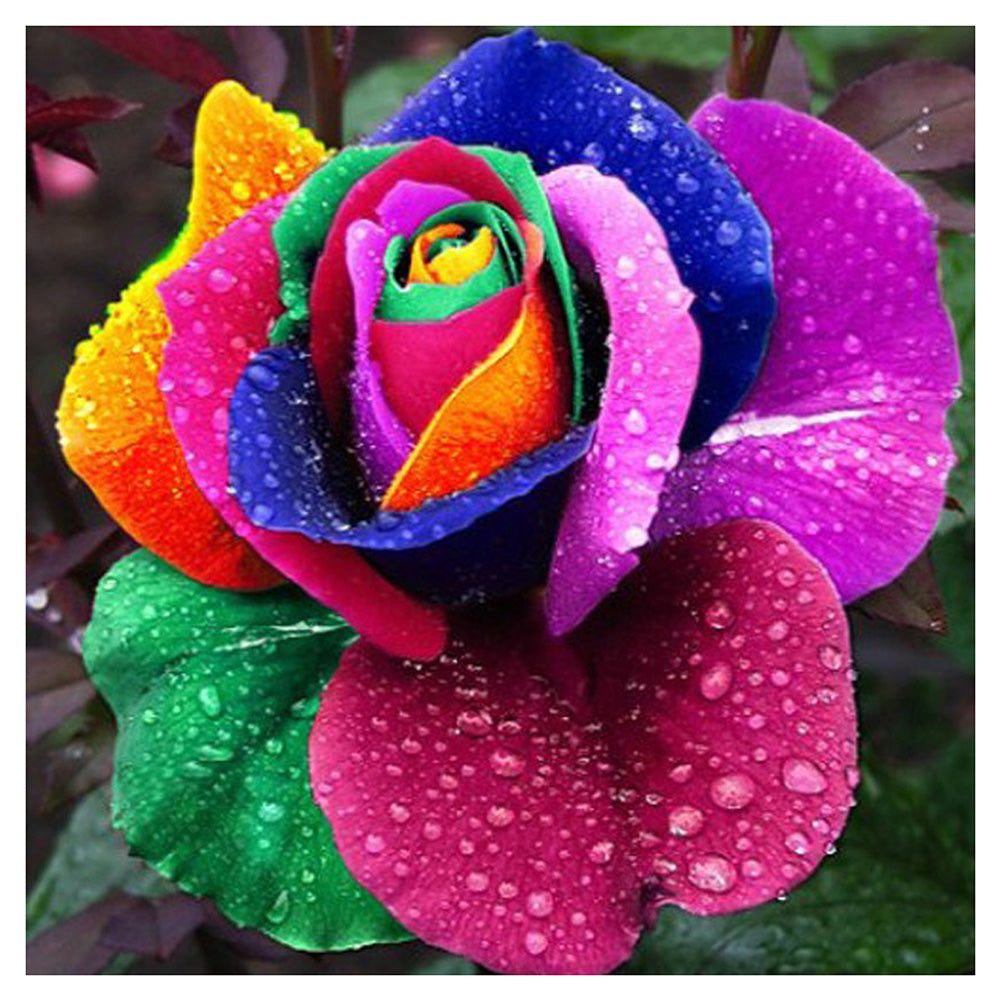 Rose 30*30CM(Canvas) Round Drill Diamond Painting