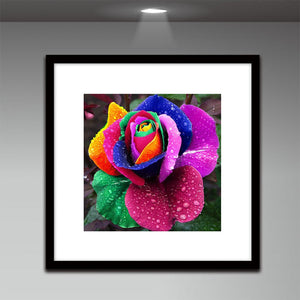 Rose 30*30CM(Canvas) Round Drill Diamond Painting
