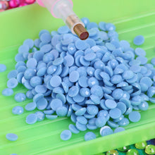 Load image into Gallery viewer, Round Drills Package DIY Embroidery Diamond Painting Rhinestones (DMC 813)
