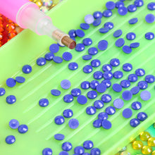Load image into Gallery viewer, Round Drills Package DIY Embroidery Diamond Painting Rhinestones (DMC 796)
