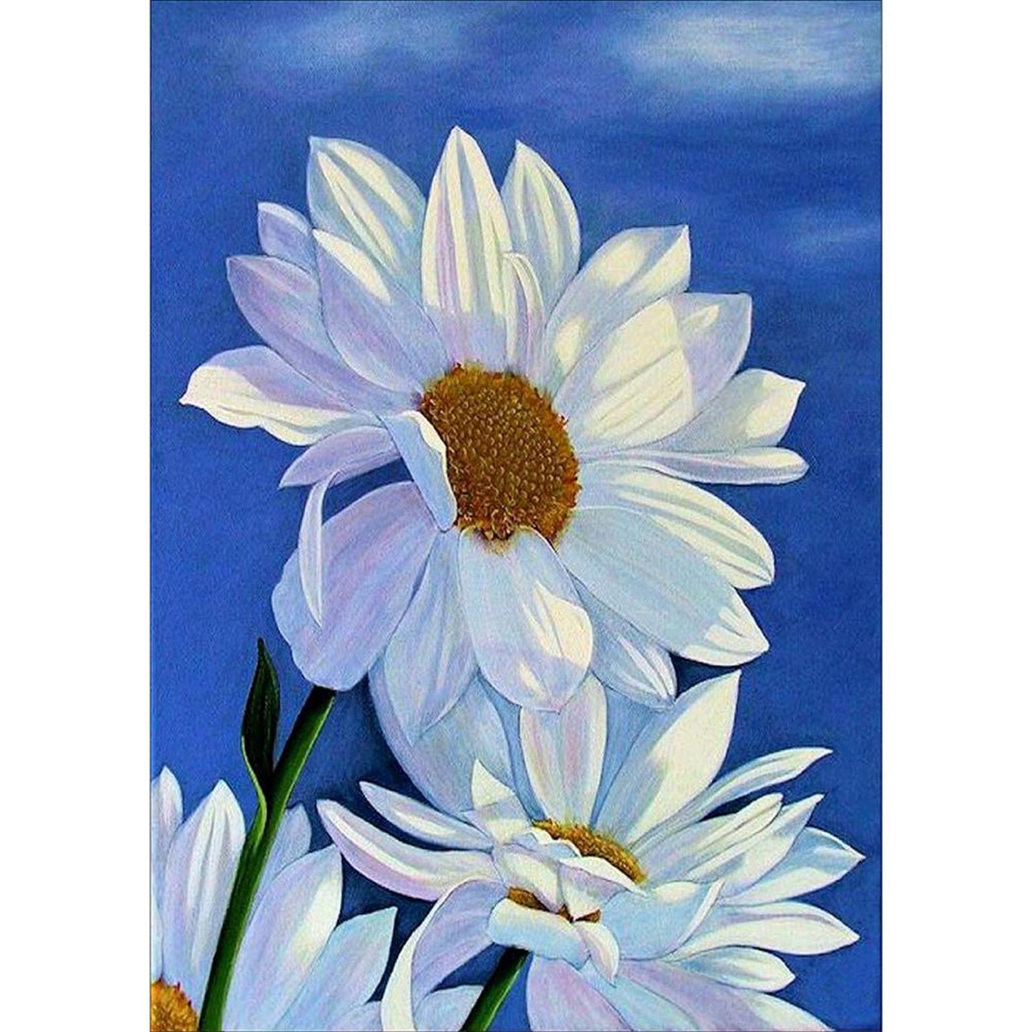 Sunflower - 11CT Stamped Cross Stitch 36x46CM - Diy