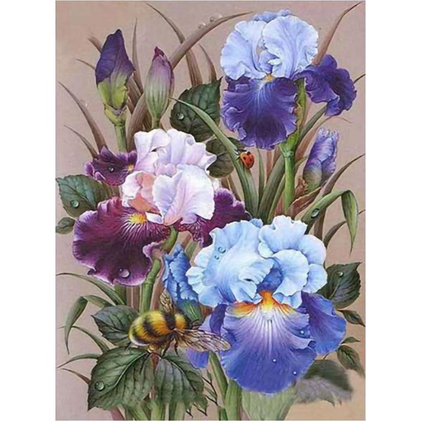 Flowers - 11CT Stamped Cross Stitch 40x50CM - Diy