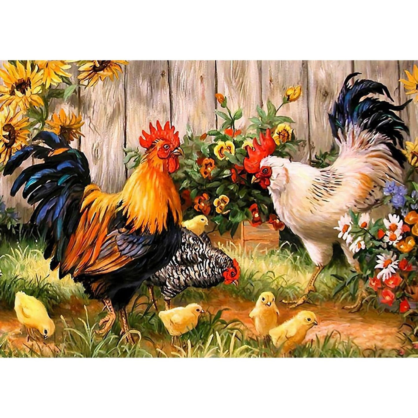 Chicken - Full 11CT Stamped Cross Stitch 50x40CM - Diy