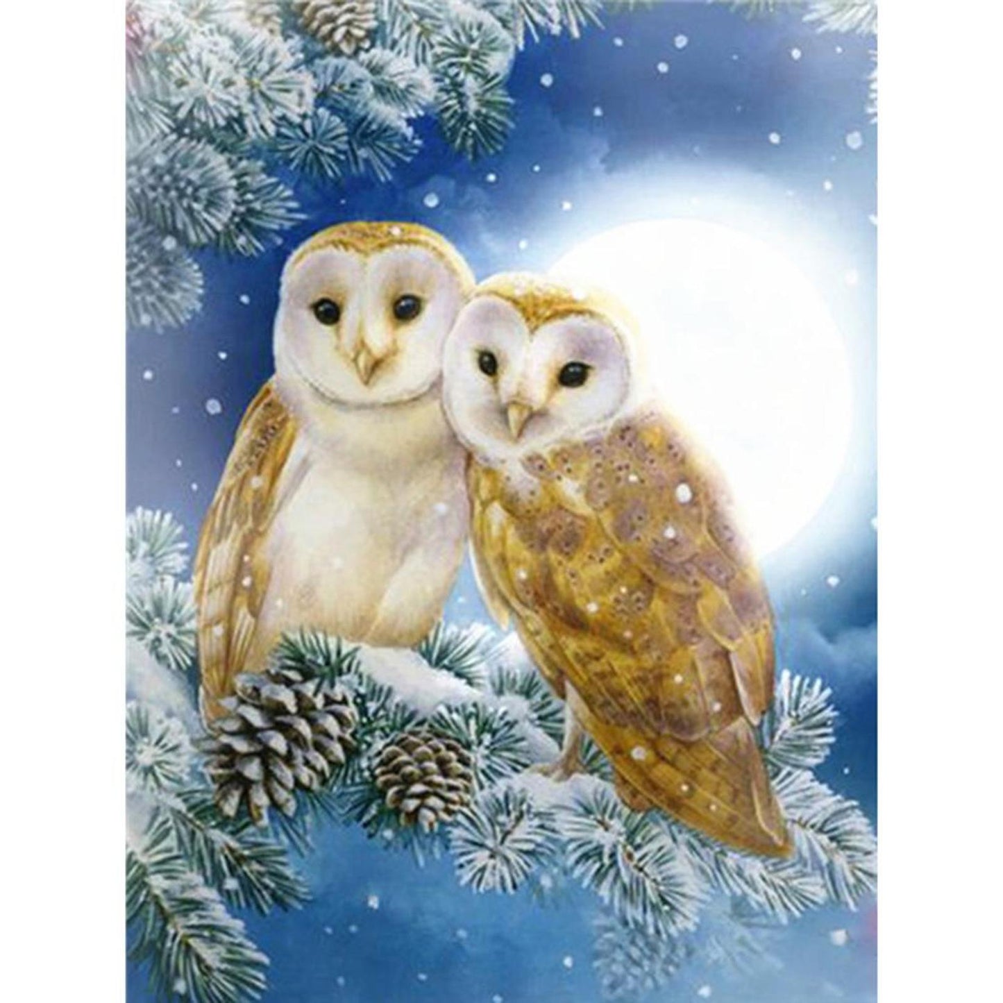 Owl - Full 11CT Stamped Cross Stitch 40x50CM - Diy