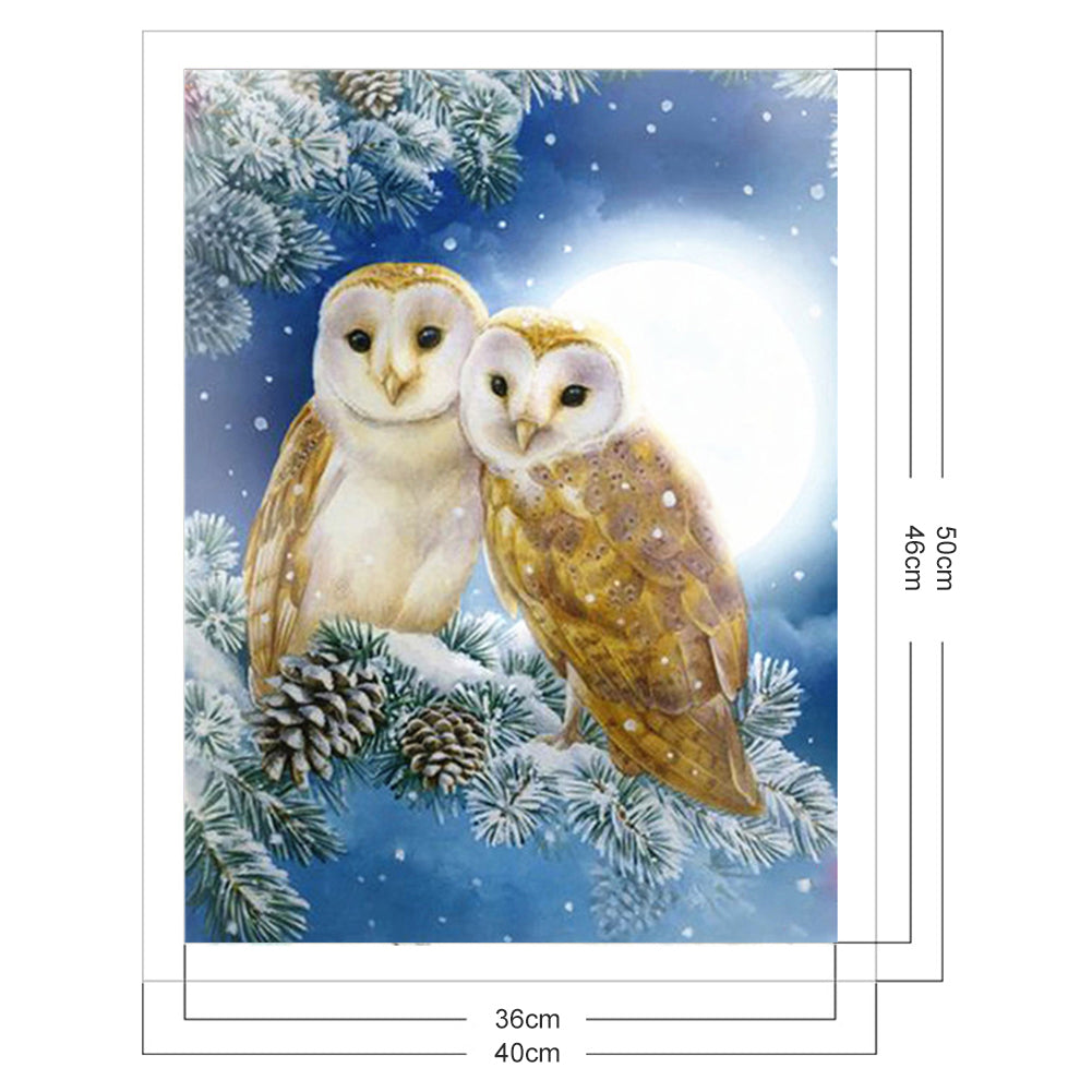 Owl - Full 11CT Stamped Cross Stitch 40x50CM - Diy