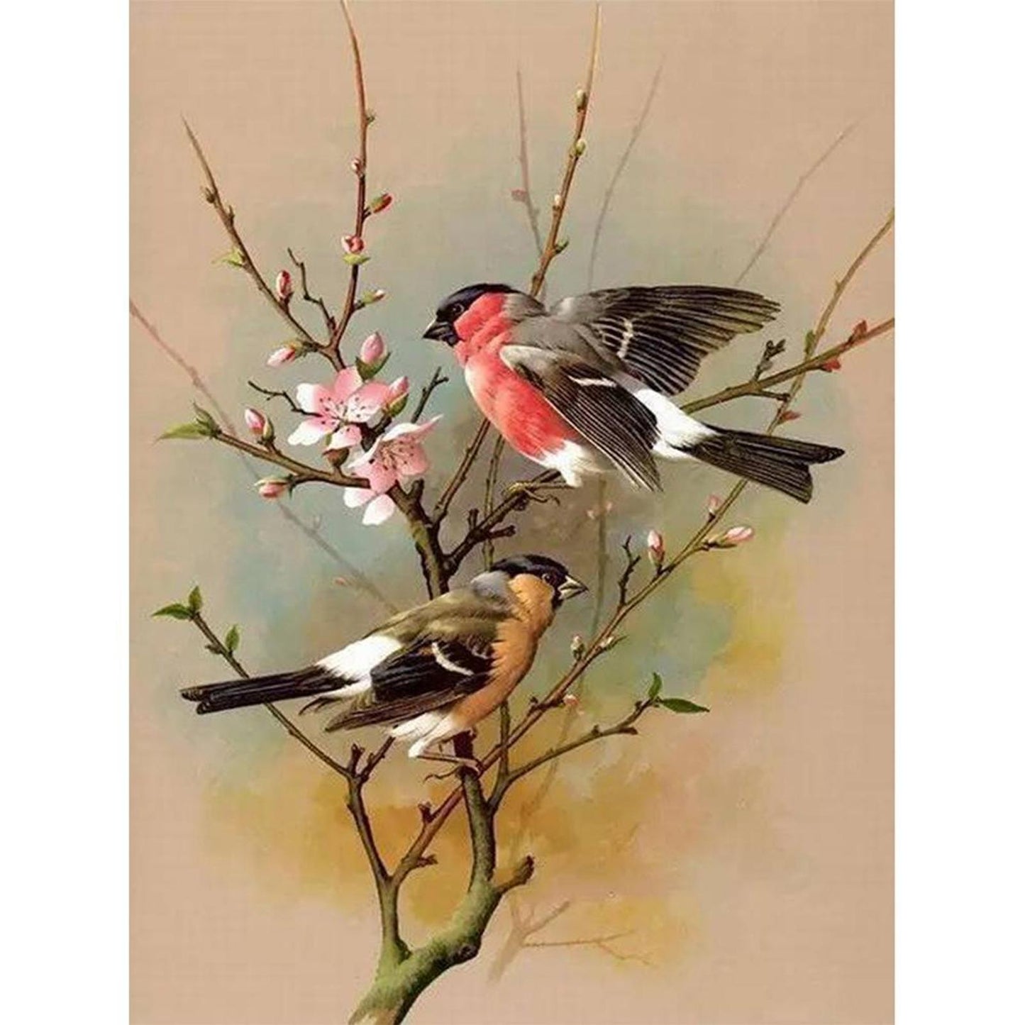 Bird On Branch - Full 11CT Stamped Cross Stitch 40x50CM - Band