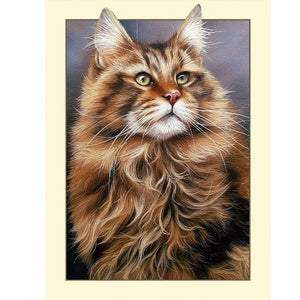 Framed Cat 30*40CM(Canvas) Full Round Drill Diamond Painting