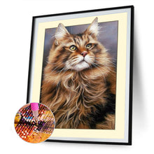 Load image into Gallery viewer, Framed Cat 30*40CM(Canvas) Full Round Drill Diamond Painting
