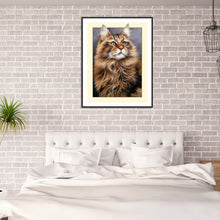 Load image into Gallery viewer, Framed Cat 30*40CM(Canvas) Full Round Drill Diamond Painting
