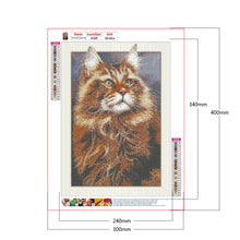 Load image into Gallery viewer, Framed Cat 30*40CM(Canvas) Full Round Drill Diamond Painting
