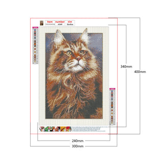 Framed Cat 30*40CM(Canvas) Full Round Drill Diamond Painting