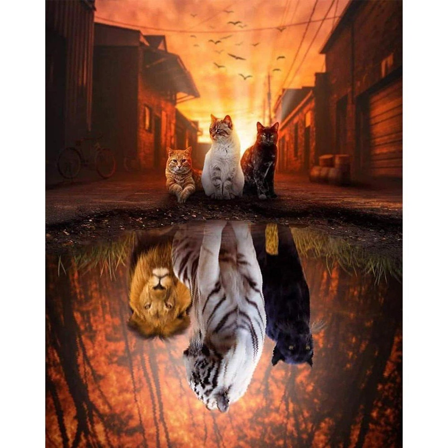 Reflection - Three Cats - Full 11CT Counted Cross Stitch 40x50CM - Diy