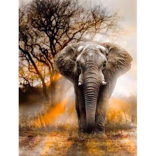 Elephant - Full 11CT Stamped Cross Stitch 40x50CM - Band