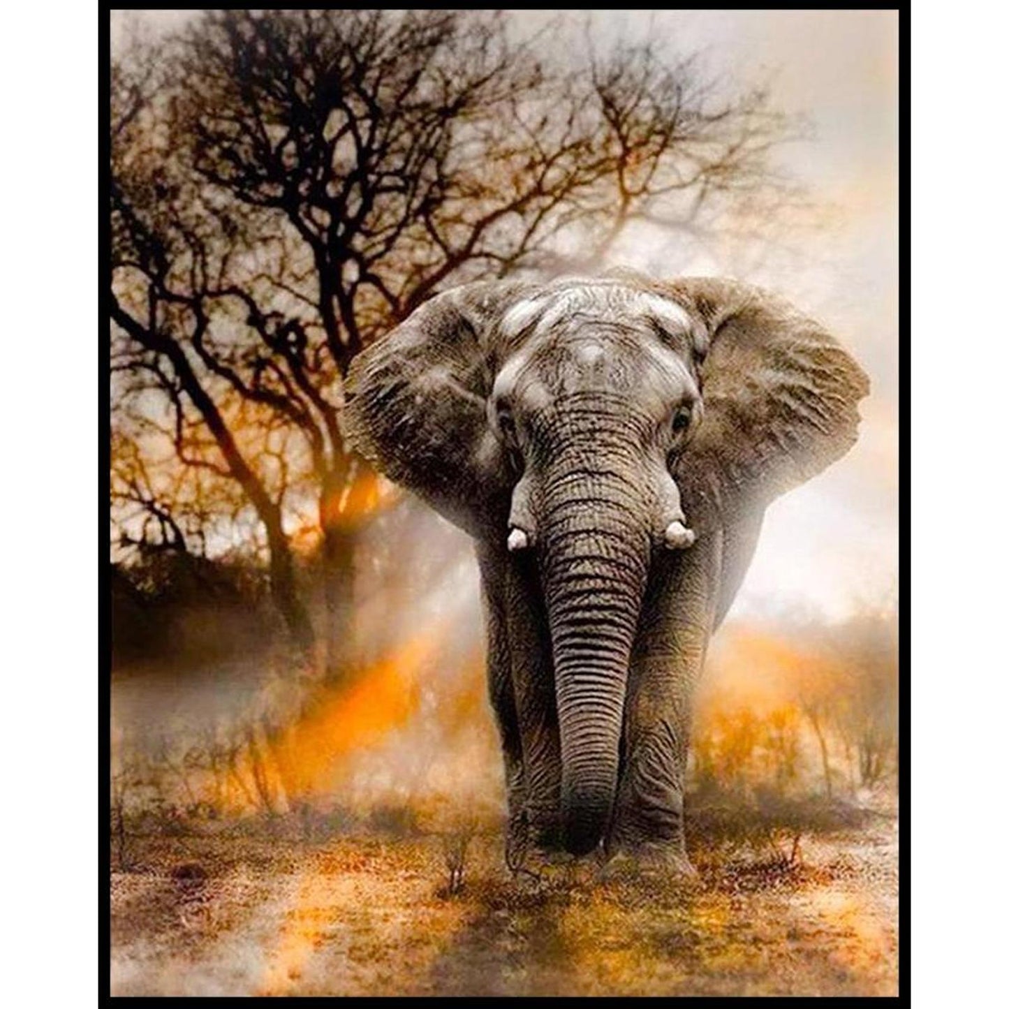 Elephant - Full 11CT Stamped Cross Stitch 40x50CM - Band