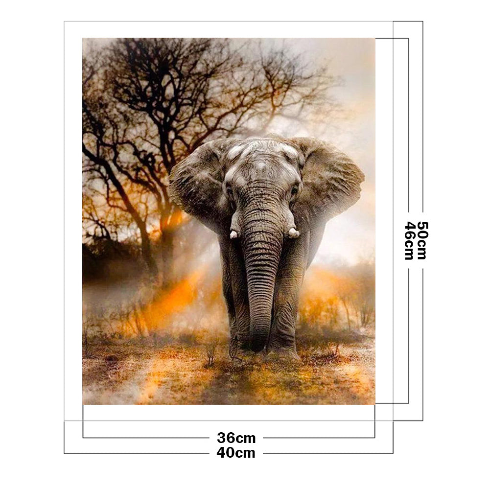 Elephant - Full 11CT Stamped Cross Stitch 40x50CM - Band