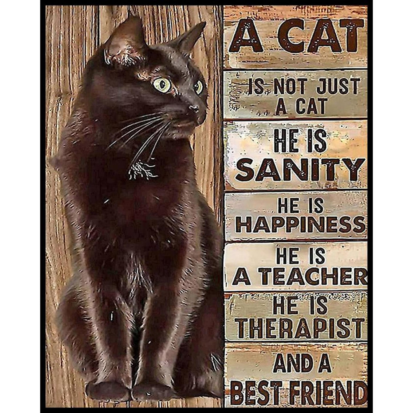 Cat And Letters - Full 11CT Stamped Cross Stitch 40x50CM - Band