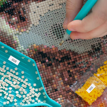 Load image into Gallery viewer, DMC Color Number Stickers 26 Letters 0-100 Round for Adults Kids (Black White)
