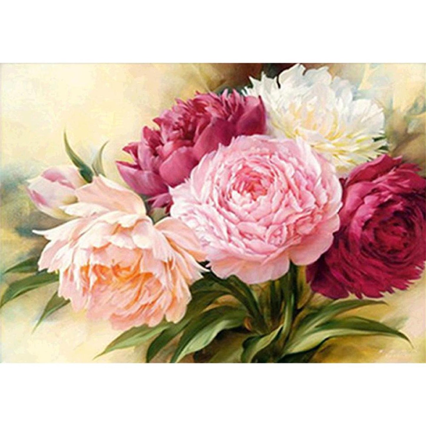 Peony - Full 11CT Counted Cross Stitch 50x40CM - Diy