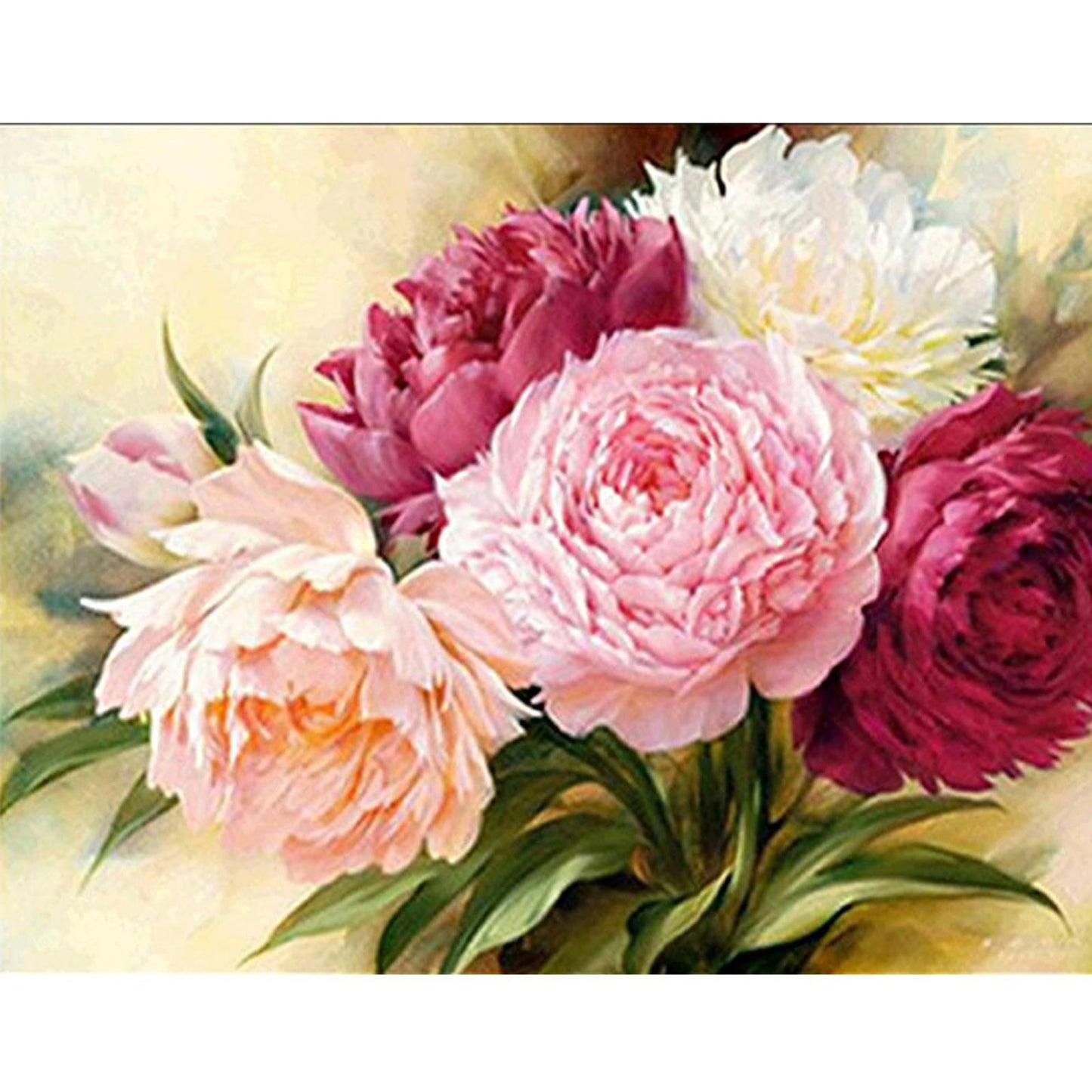Peony - Full 11CT Counted Cross Stitch 50x40CM - Diy