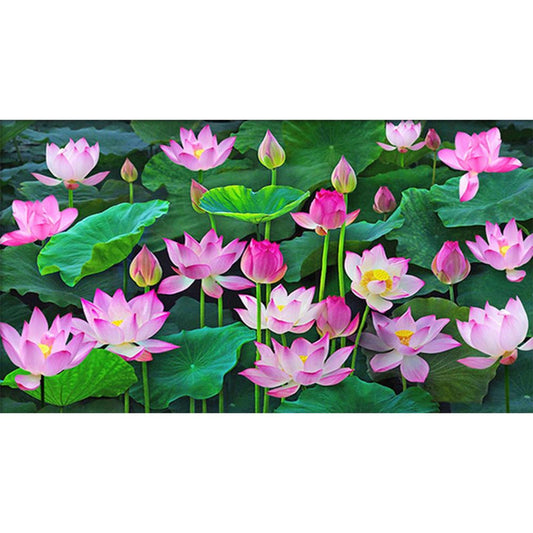 Lotus - Full 11CT Stamped Cross Stitch 60x33CM - Yishu