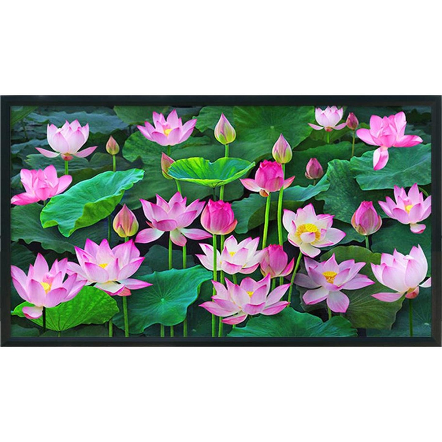 Lotus - Full 11CT Stamped Cross Stitch 60x33CM - Yishu