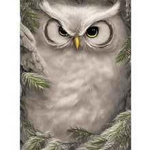 Load image into Gallery viewer, Owl 30*40CM(Canvas) Full Round Drill Diamond Painting

