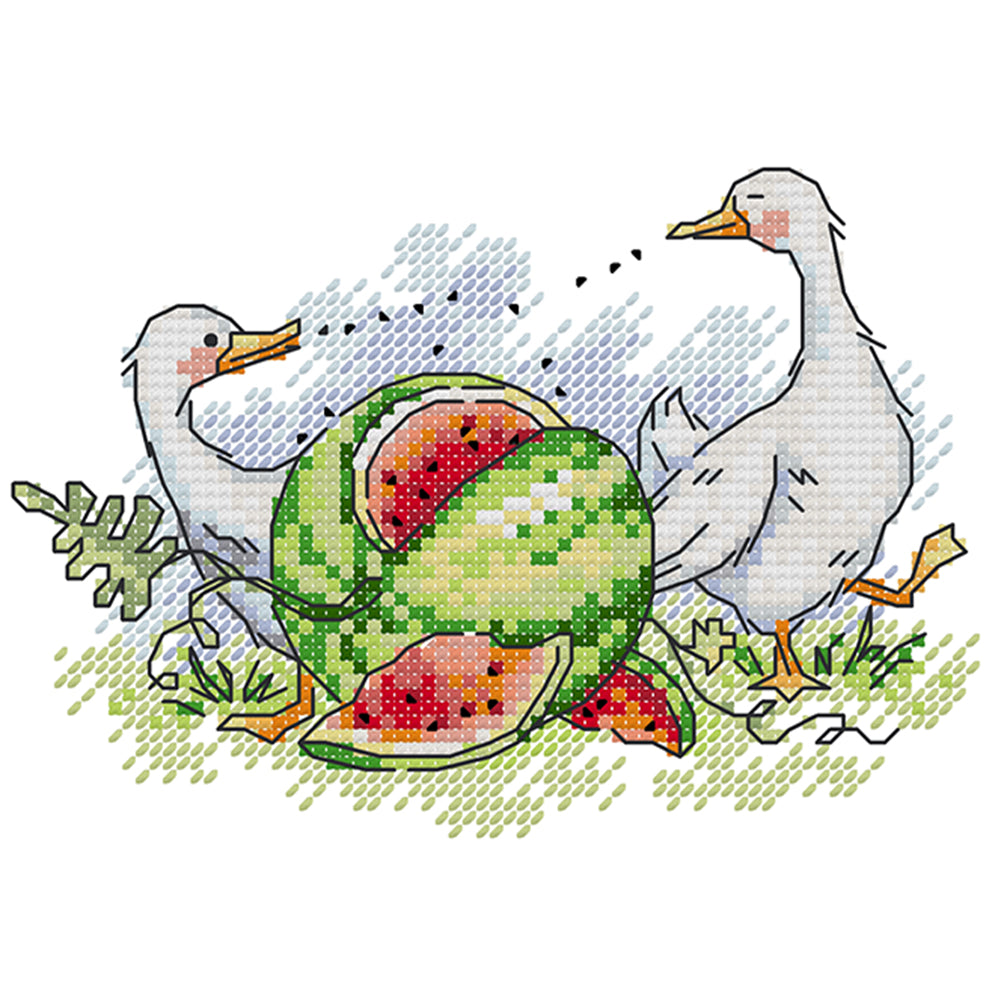 Watermelon - Partial 14CT Stamped Cross Stitch 18x14CM - Joy Sunday Backstitch