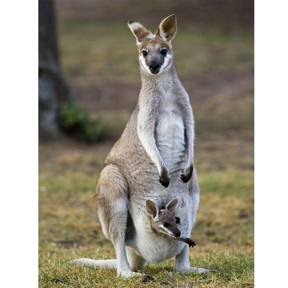 Kangaroos And Their Children 30*40CM(Canvas) Full Round Drill Diamond Painting