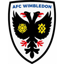 Load image into Gallery viewer, Afc Wimbledon Football Team 30*40CM(Canvas) Full Round Drill Diamond Painting
