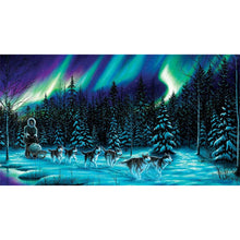 Load image into Gallery viewer, Sledding Under The Aurora 30*55CM(Picture) Full Round Drill Diamond Painting
