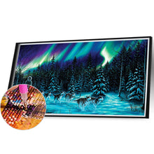 Load image into Gallery viewer, Sledding Under The Aurora 30*55CM(Picture) Full Round Drill Diamond Painting
