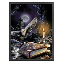 Load image into Gallery viewer, Harry Potter Owl (40*56CM ) 11CT 3 Stamped Cross Stitch
