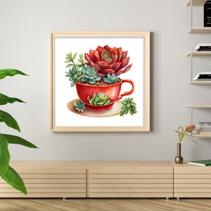 Teacup Succulent (50*50CM ) 11CT 3 Stamped Cross Stitch