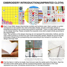 Load image into Gallery viewer, Stained Glass (40*40CM) 11CT 3 Stamped Cross Stitch
