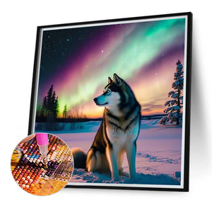 Aurora Snow Wolf 40*40CM(Canvas) Full Round Drill Diamond Painting
